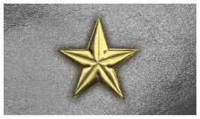 DNSEMP-C-430-GD-SL Star Gold-Silver